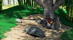 Nice Forest Modeling 3D model
