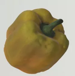 Pepper 3D model