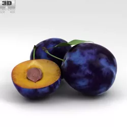 Plum Fruit 3D model
