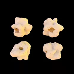 Popcorn 3D model