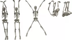 Skeleton Hanging Poses Low-poly  3D model