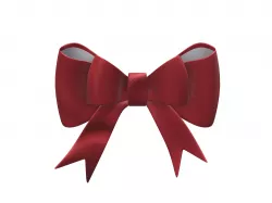 small bow 3D model