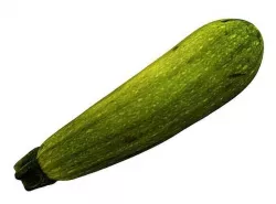 Zucchini 3D model