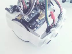 Bob The Robot