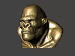 Bust gorilla