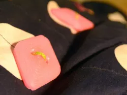 Coat button