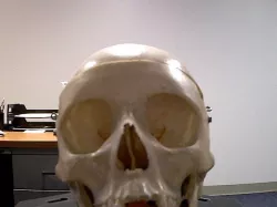 Dr. Skully