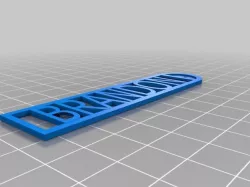 Example Brandon Keyring