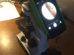 microscope iP4 holder / mount