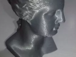 testa di venere