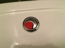 Toilet Flush Button "pipi" Part