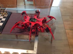 Andy - the 3D printed hexapod