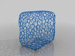 Cage_Voronoi