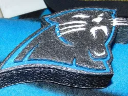 Carolina Panthers Box