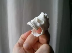 Dasaki punk skull ring