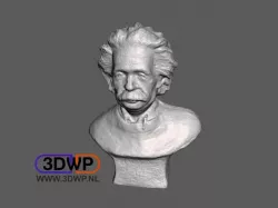 Einstein Sculpture (Bust 3D Scan)