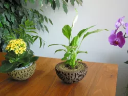Guardians of the Galaxy Plant Pot