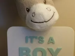 It's A Boy/Girl