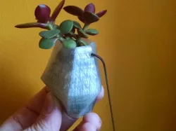 Necklace Planter
