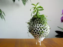 Plant Space Rocket