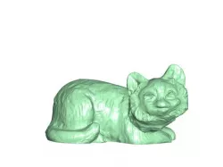 Small cat