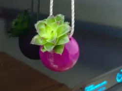 Small Drop-Shaped Pendant