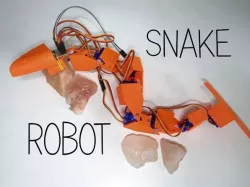 Snake robot