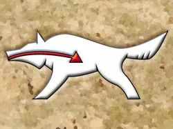 Zuni Wolf Fetish