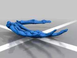 BodyParts3D Hand Skeleton Left Hand