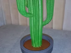 CACTUS