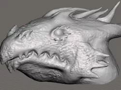 Dragon Head