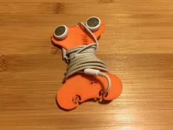 Ear-bone