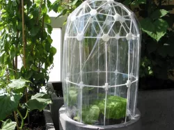 Greenhouse-Dome (clickable) / Treibhausdom