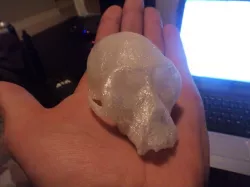 monkey skull 1 GiS