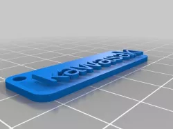 My Customized My Clever Name Tag