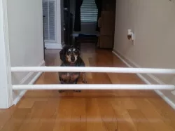 Pergo Dog Gate Ends