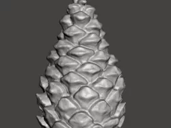 Pine cone 3D scan