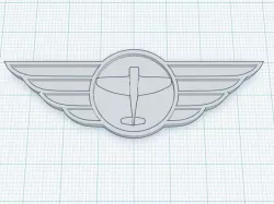 RC Plane Flying Wings