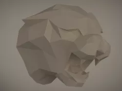 Tiger trophy