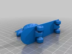 Turtle on a Skateboard