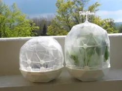 Flexible Mini Greenhouse-Dome with Pot (clickable)
