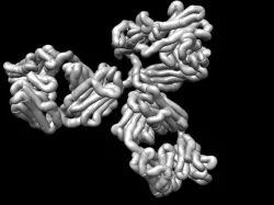 IgG1