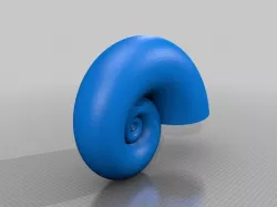 Nautilus Shell