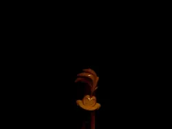 Road Runner Head
