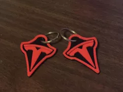 Tesla Keychain