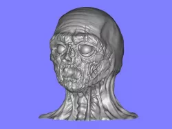Zombie High Detail Sculpt