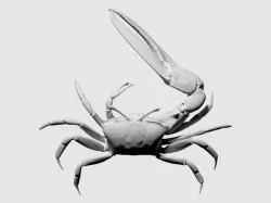 3D scan of a fiddler crab