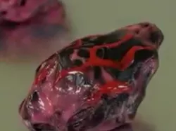 Bash Boris (Cancerous tumor)