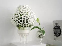 Big Plant Space Rocket with Pot