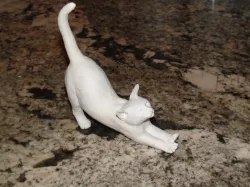 Cat Stretch